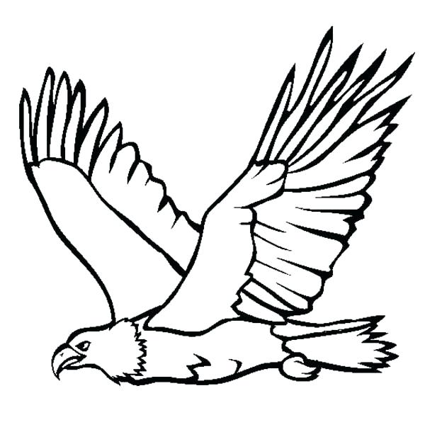 Eagle Coloring Pages for Adults