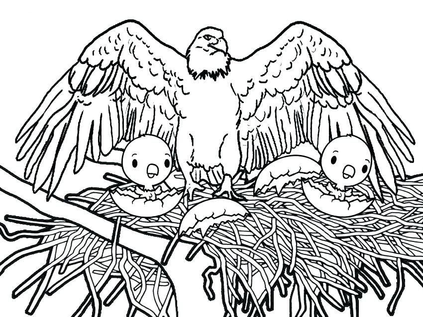 850x638 Eagle Coloring Page Bald Eagle Is Hungry Coloring Page Harpy Eagle