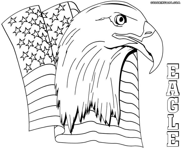 736x604 51 Best Eagle Coloring Pages Images On Adult Coloring