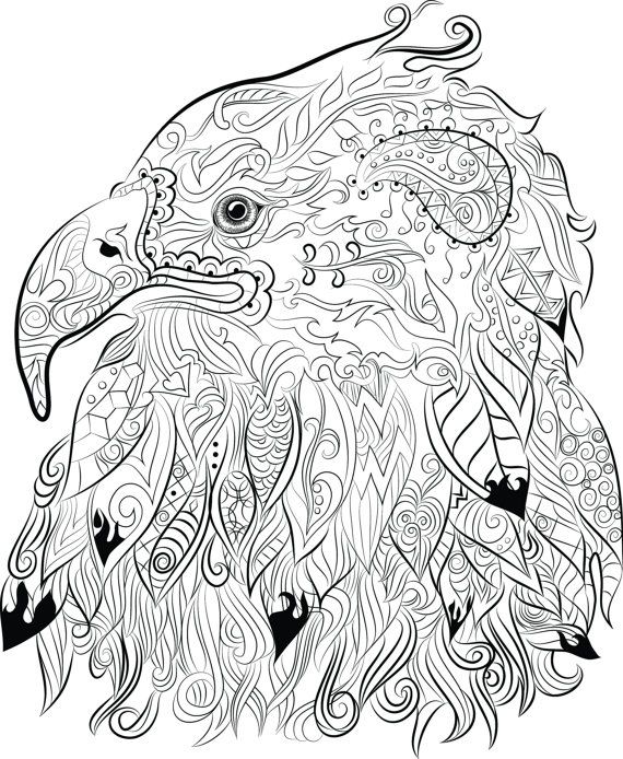 570x694 Eagles Coloring Pages 33 Best Chandraws Mind Escape Images