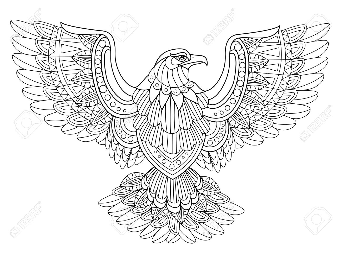 1300x975 Harpy Eagle Coloring Page Printable Pages Click The To View