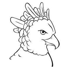 Eagle Coloring Pages For Kids