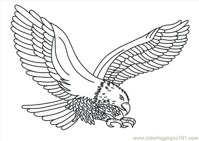 650x461 Coloring Pages Eagle Eagle Printable Coloring Pages Best Eagle