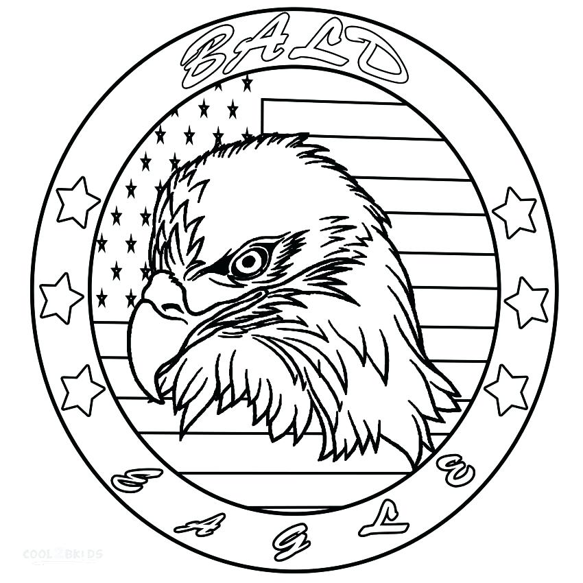 850x850 Eagle Color Page Bald Eagle Head Coloring Pages Bald Eagle