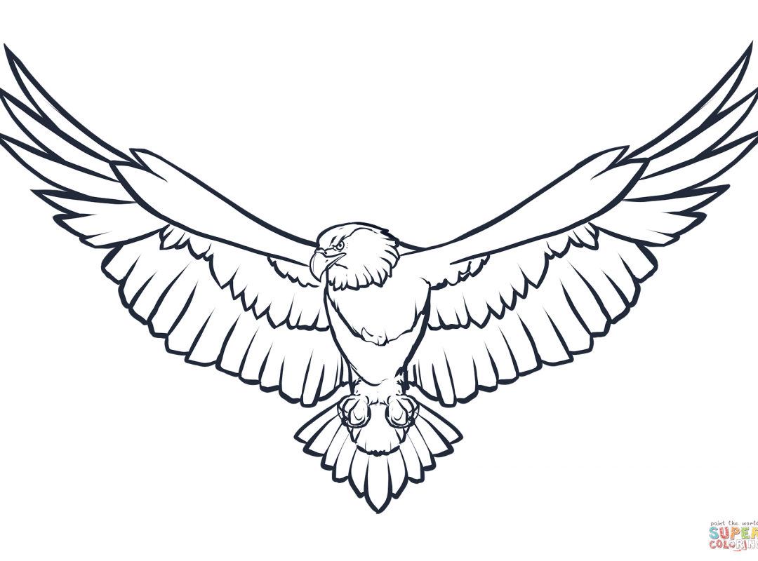 1080x800 Eagle Coloring Pages Flying American Page Printable Harpy