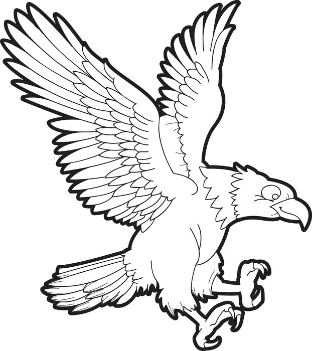 622x700 Eagle Coloring Pages Great Flying Bald Eagle Coloring Page Golden