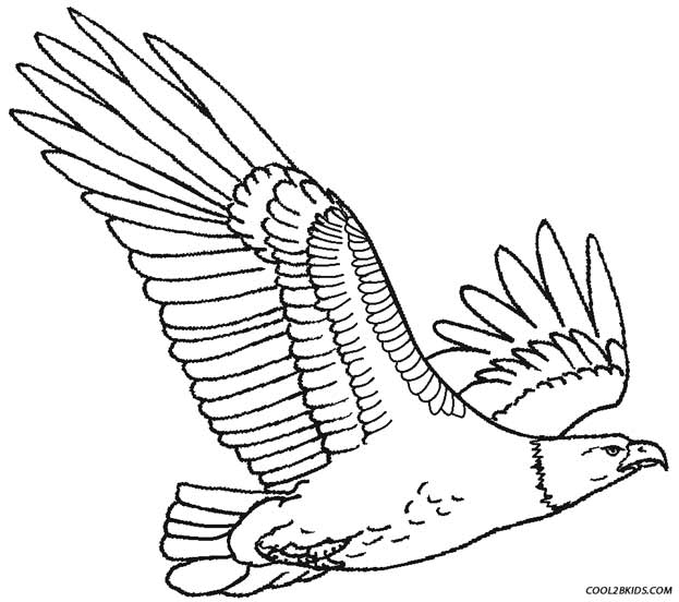 623x552 Eagle Coloring Pictures Fresh Eagle Coloring Page 57 For Your