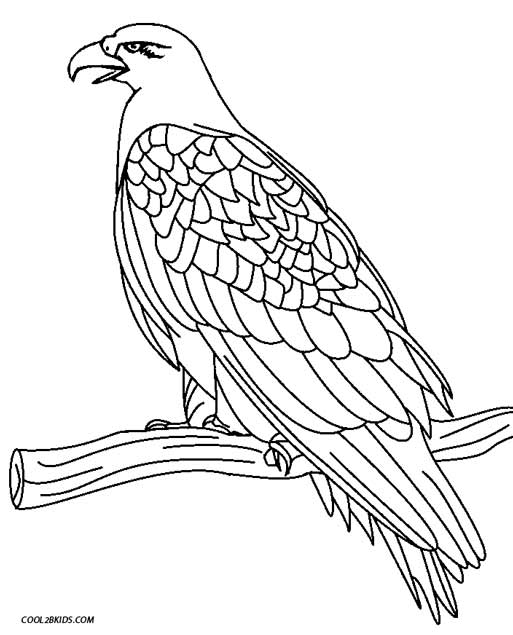 513x635 Printable Eagle Coloring Pages For Kids Cool2bkids