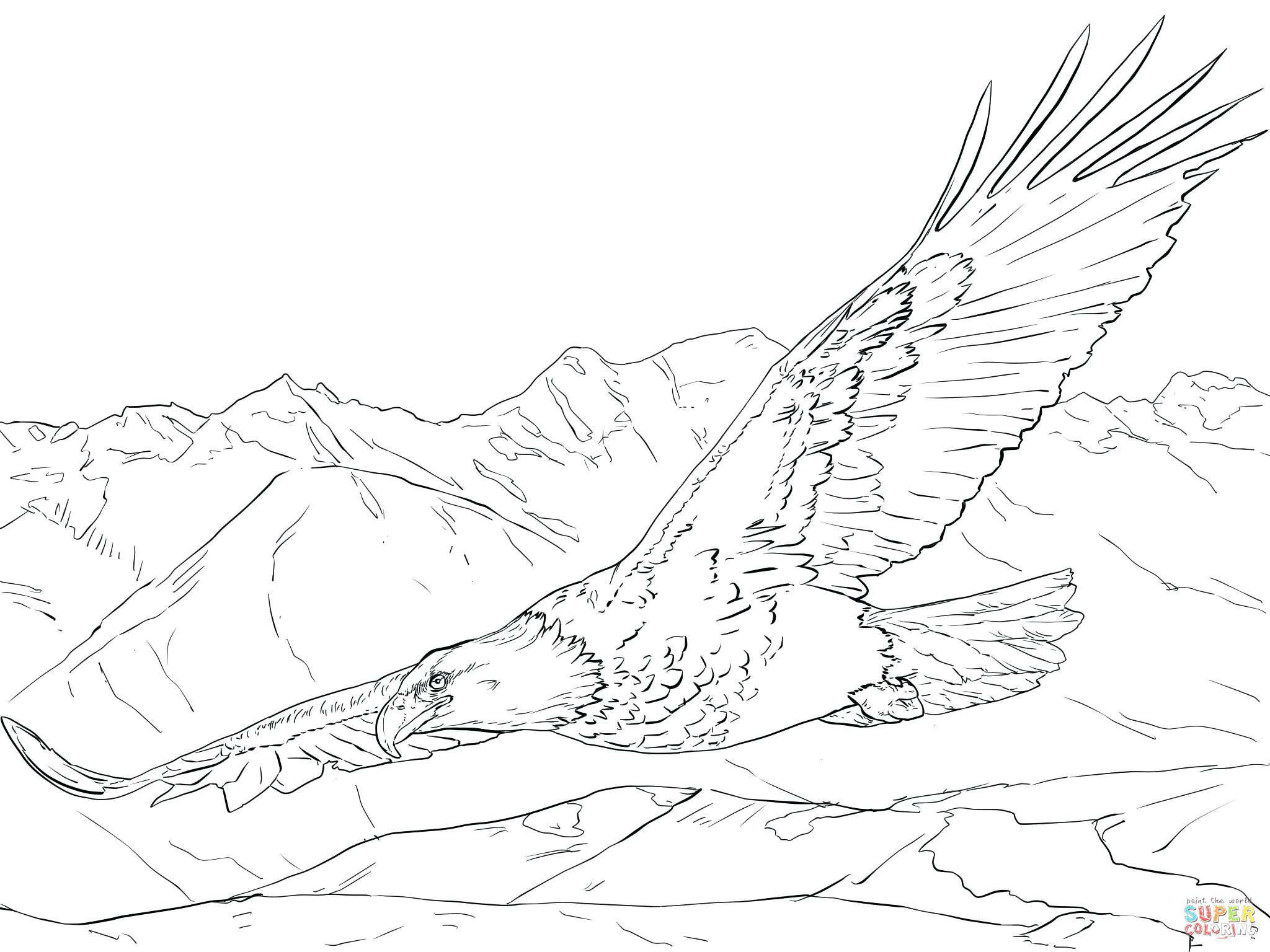 2048x1536 Coloring Pages Eagle Coloring Pages. Eagle Football Coloring