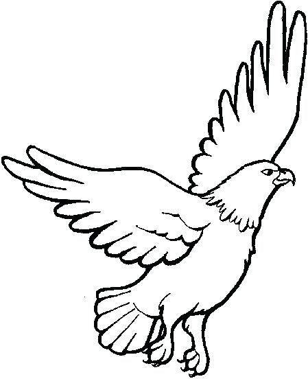 449x552 Eagle Coloring Sheet Startling Eagle Coloring Sheet Bald Pages