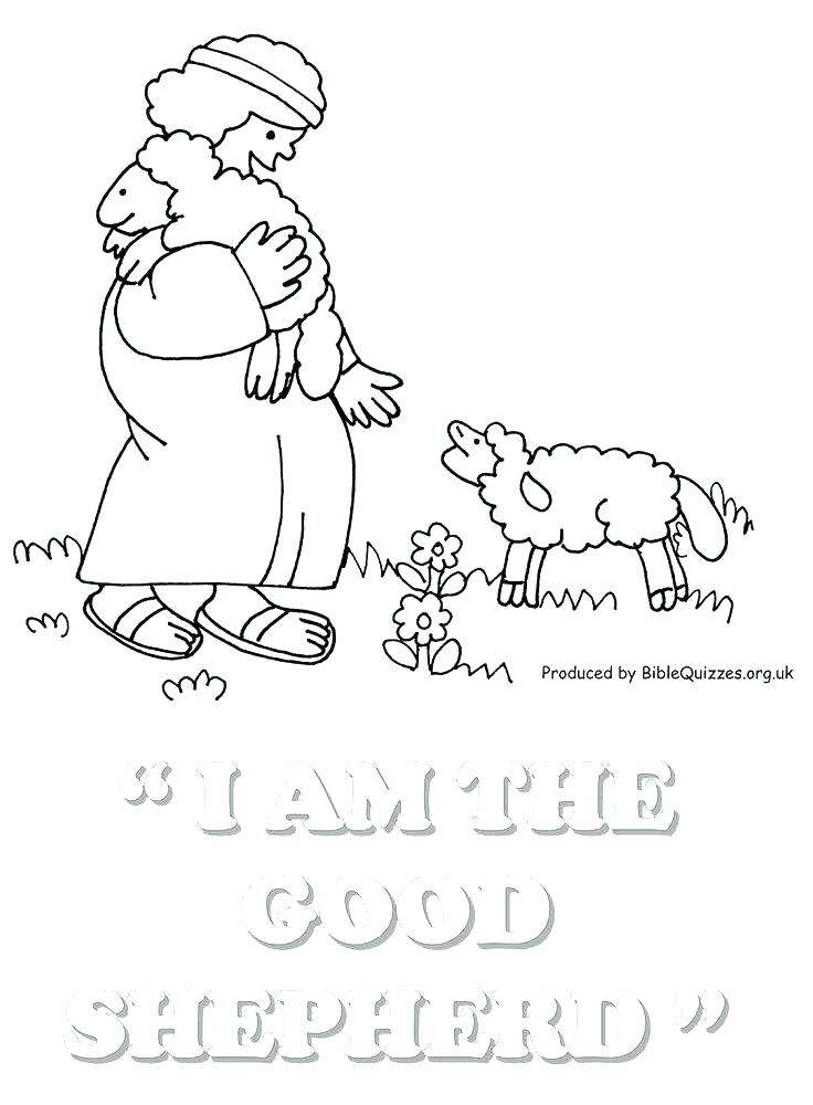 736x1000 Eagle Feather Coloring Page