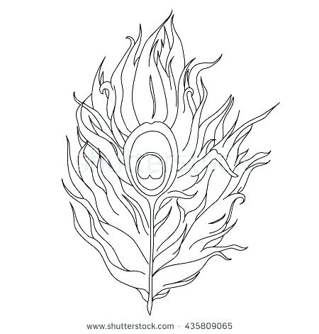 450x470 Eagle Feather Coloring Page Get The Free Pages For Adults