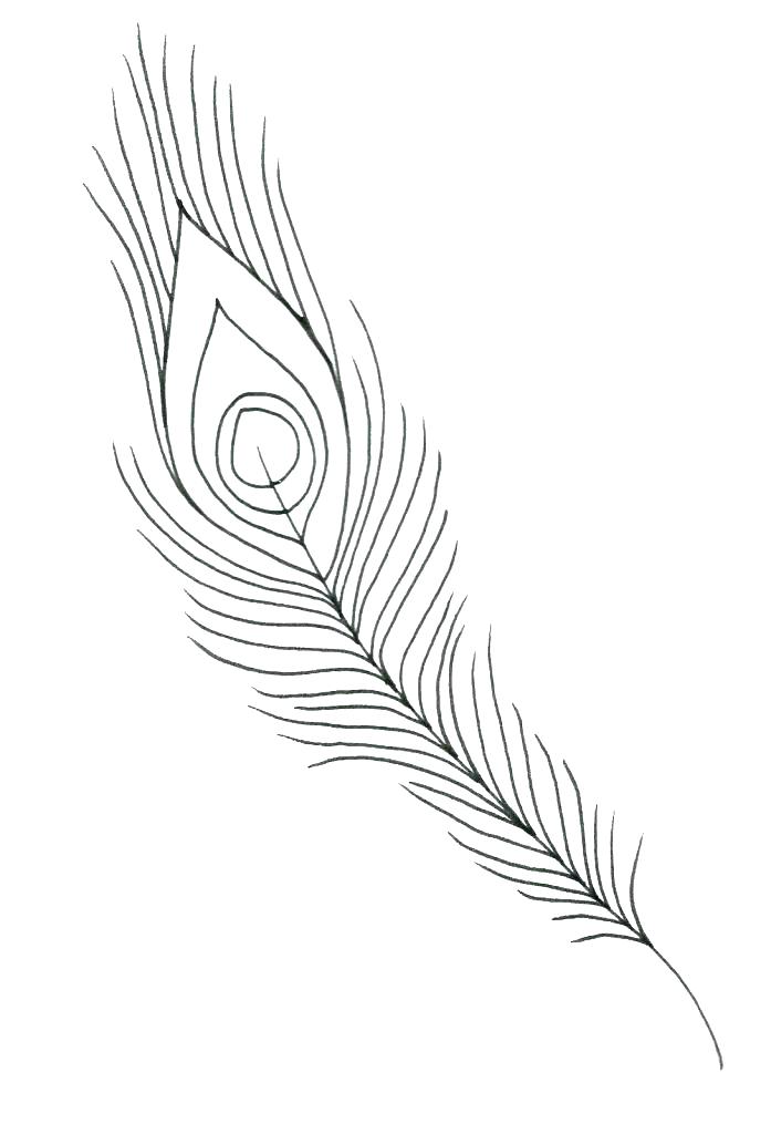 697x1024 Feather Coloring Page Eagle Feather Coloring Page