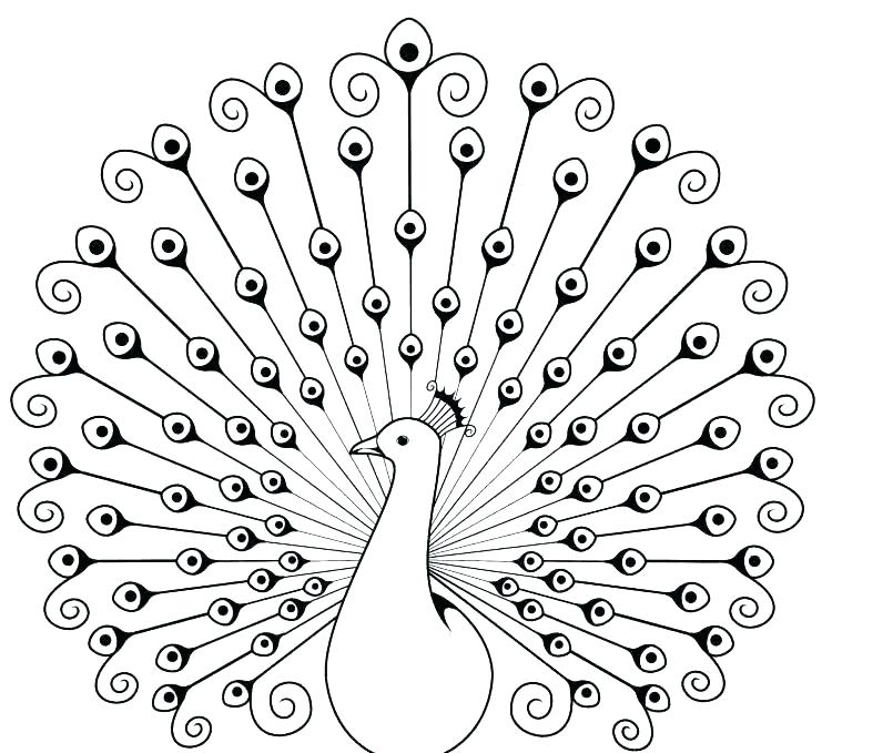 805x679 Feather Coloring Pages Free Eagle Feather Coloring Pages