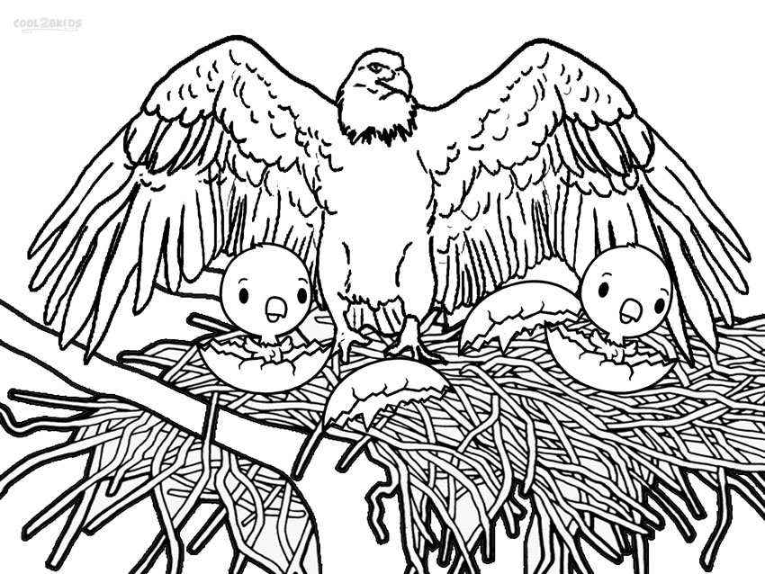 850x638 Coloring Pages Of Eagles Wonderful Eagles Coloring Pages 56