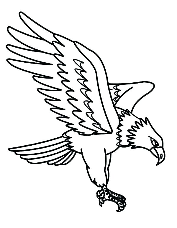 600x775 Draw Eagle Coloring Page For Your Download Pages Realistic Bald