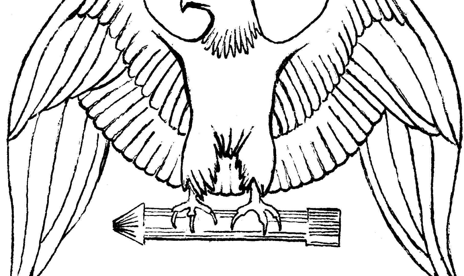 1815x1080 Flying Bald Eagle Coloring Page Baby Harpy Colouring Pages Mandala