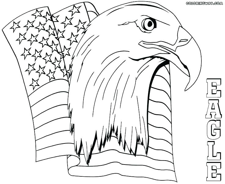 736x604 Harpy Eagle Coloring Page Bald Eagle Coloring Pictures Harpy Eagle