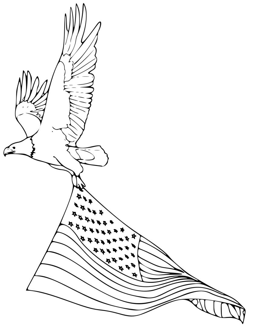 850x1080 Drawn Bald Eagle Outline Pencil And In Coloring Birds Pages