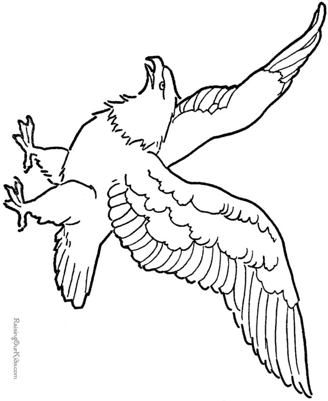 670x820 21 Best Eagle Coloring Pages Images On Coloring Books
