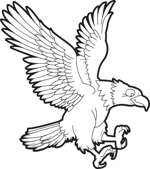 622x700 Pleasurable Bald Eagle Pictures Free Printable Coloring Page