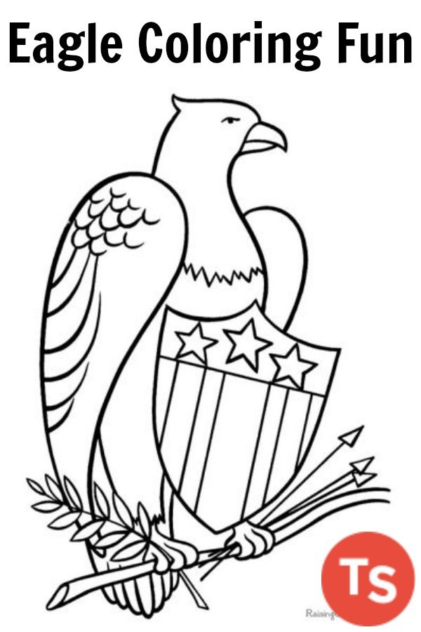 600x900 Ready To Print Eagle Coloring Pages For Kids. This Fun Theme Is