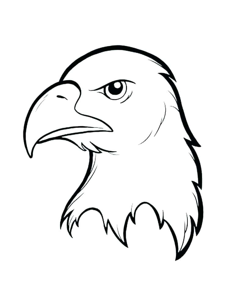 750x1000 Printable Pictures Of Eagles