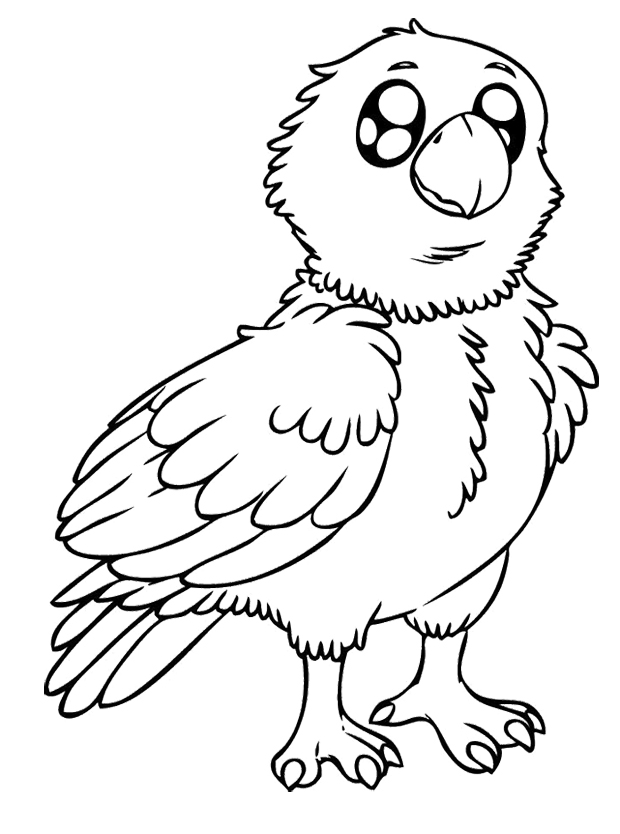 620x834 Focus Eagle Coloring Page Philadelphia Eagles Logo Free Printable
