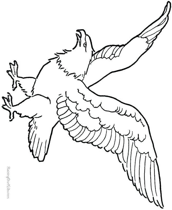 670x820 Eagle Coloring Page For Kids Eagles Coloring Pages Pin Bald Eagle