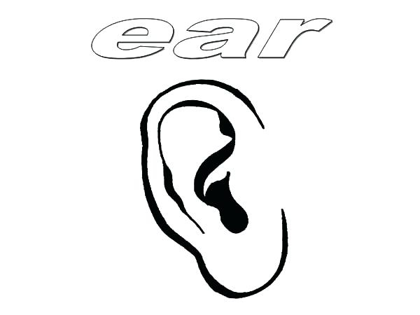 600x450 Ear Coloring Page Printable Coloring Pages