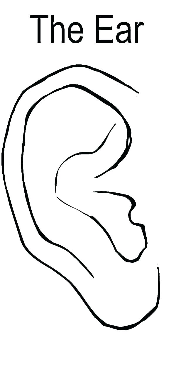 600x1285 Ear Coloring Page Ear Of Corn Coloring Page Corn Coloring Page Ear