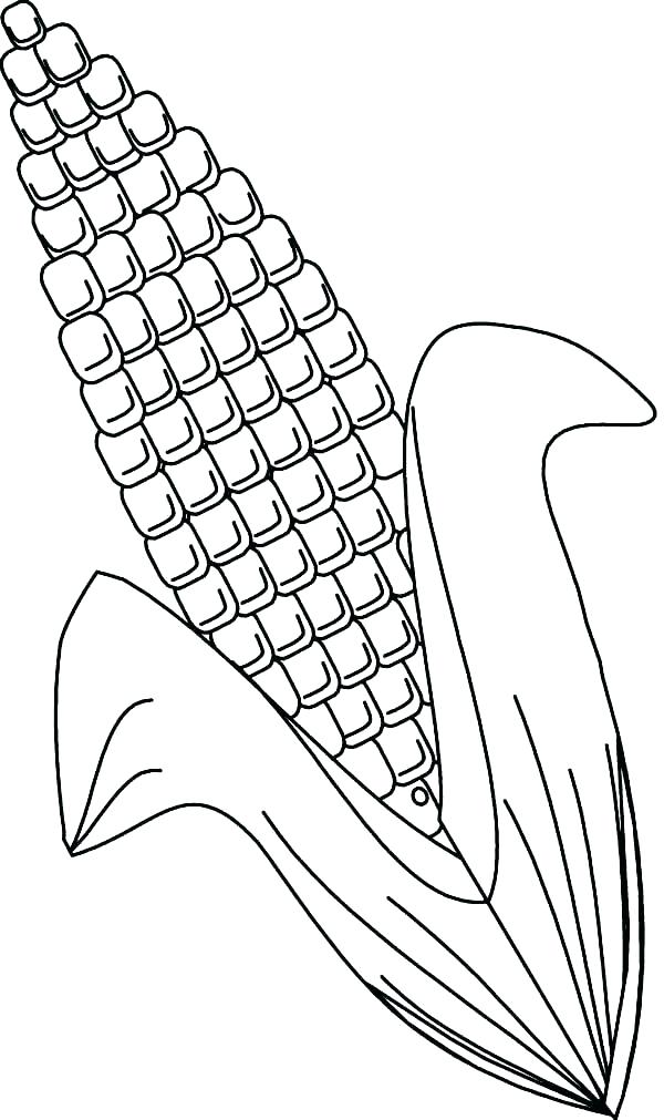 600x1011 Ear Coloring Sheet Coloring Page Ear Human Ear Coloring Page