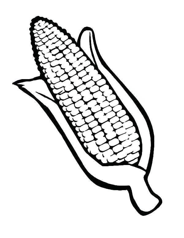 600x776 Ear Of Corn Coloring Page Corn Coloring Pages For Thanksgiving