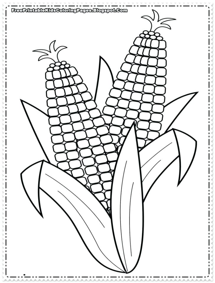 728x958 Ear Of Corn Coloring Page Corn Coloring Pages Printable Kids X