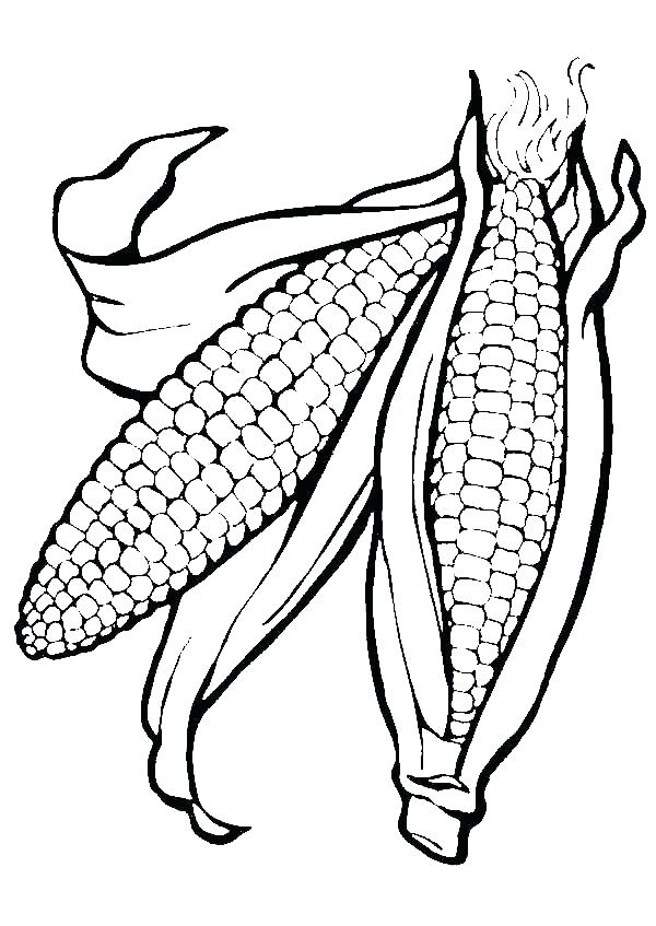 600x847 Ears Coloring Page Animal Ears Coloring Pages Free Coloring Ear