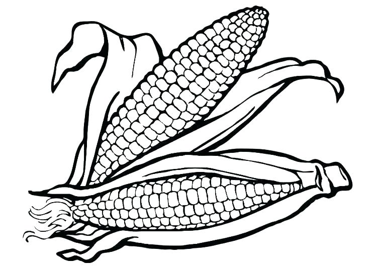 750x531 Popcorn Kernel Coloring Page Corn Coloring Pages Ear Of Corn