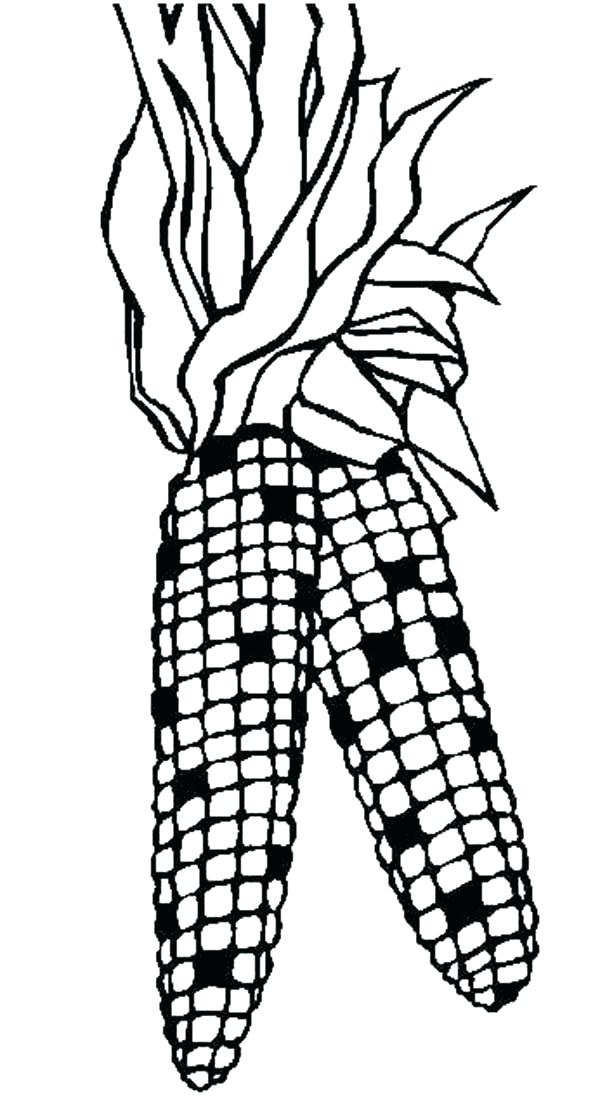 600x1106 Coloring Ear Of Corn Coloring Page Bunny Ears Printable Pa On P