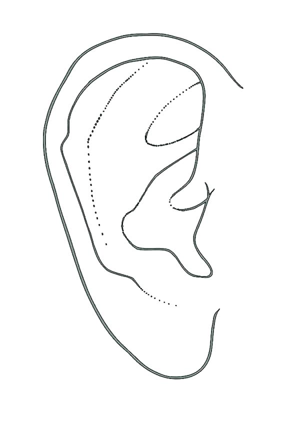 600x848 Coloring Ear Coloring Ear Ears Coloring Page Ears Coloring Pages