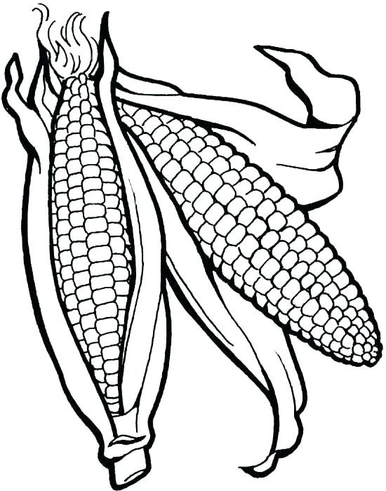550x700 Corn Coloring Pages Free Printable Ear Of Corn Coloring Page