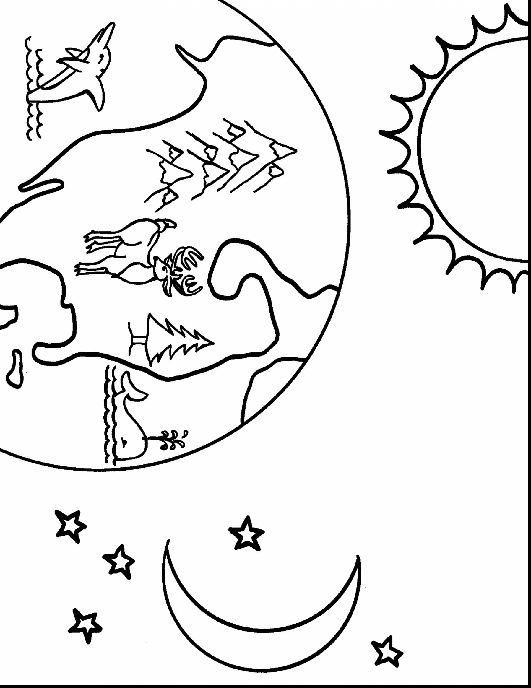 1797x2329 Earth Science Coloring Pages