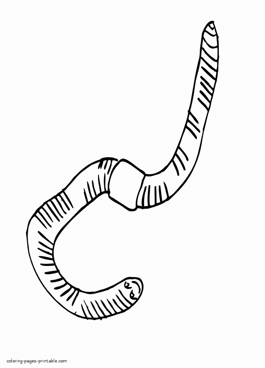895x1240 Coloring Pages Of The Earth To Print Best Worm New