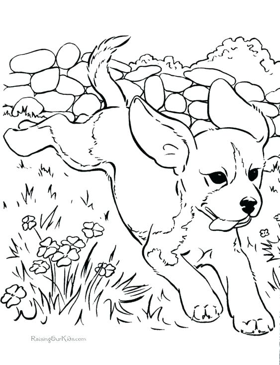 563x732 Beagle Coloring Pages Dog Cartoon For Coloring Book Royalty Free