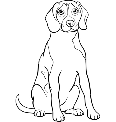 380x400 Beagle Coloring Pages Dog And Puppy