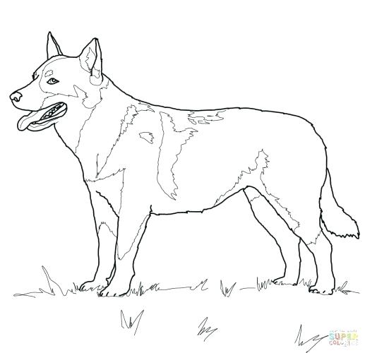 517x500 Beagle Coloring Pages Pound Puppies Coloring Pages Beagle Coloring