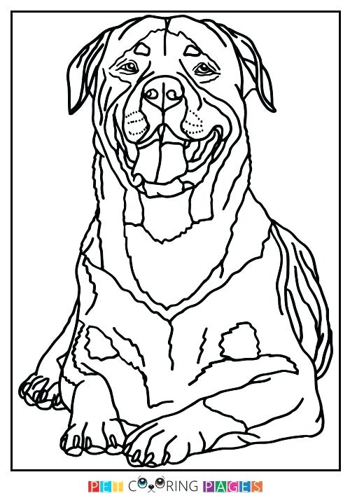 500x711 Beagle Coloring Pages Rottweiler Animal Coloring Pages Beagle
