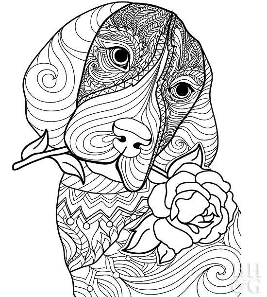 550x611 Pet Coloring Pages Better Homes Amp Gardens
