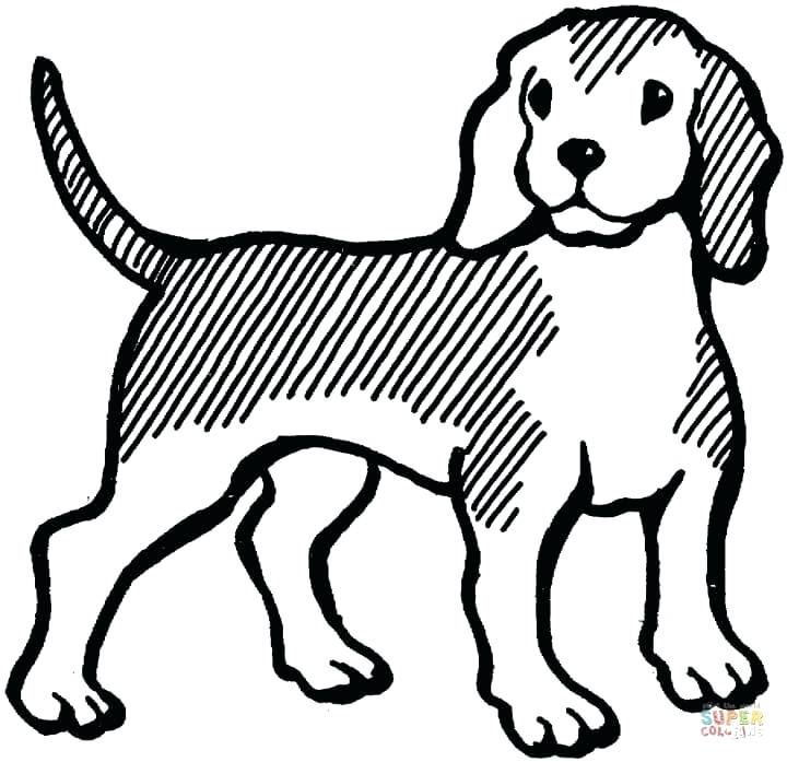 720x697 Beagle Coloring Pages Beagle Free Printable Beagle Coloring Pages