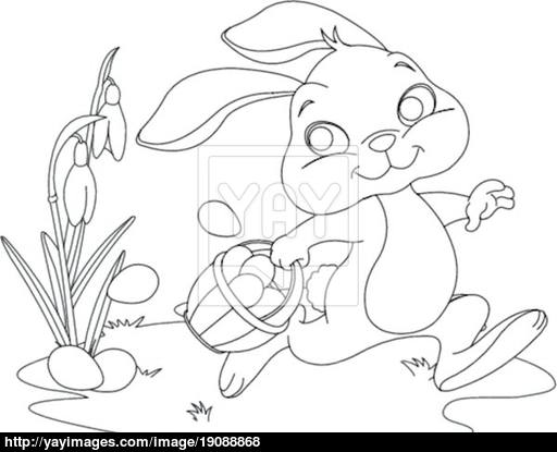 512x415 Easter Bunny Hiding Eggs. Coloring Page Vector