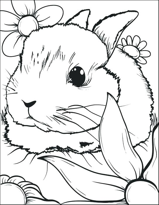543x700 Printable Bunny Coloring Pages Printable Bunny Coloring Pages Free
