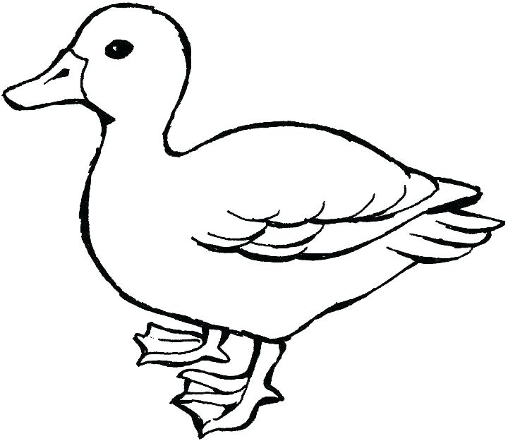 720x625 Enchanting Duckling Coloring Pages Baby Duck Coloring P Easter
